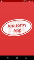 Anatomy Dictionary Affiche