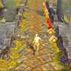 GUIDES of temple run 2 ikon