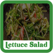 Lettuce Salad Recipes Full 📘 Cooking Guide
