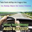 Voice Reader Messages BT TEST