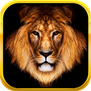 King Slots APK