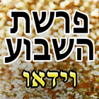 פרשת השבוע בוידאו icône