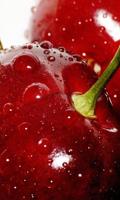 Cherry Wallpapers تصوير الشاشة 2