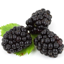 Blackberry Wallpapers APK