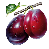 Plum Wallpapers icon