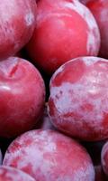 Plum Wallpapers imagem de tela 2