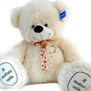 APK Teddy Bear Toy Sfondi