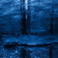 Dark Wallpapers