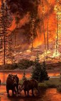 1 Schermata Incendio boschivo Sfondi