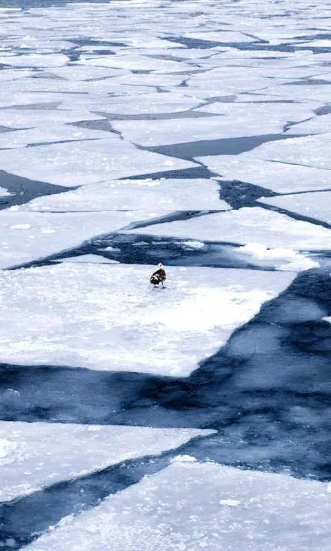 Android 用の 氷の壁紙 Apk をダウンロード