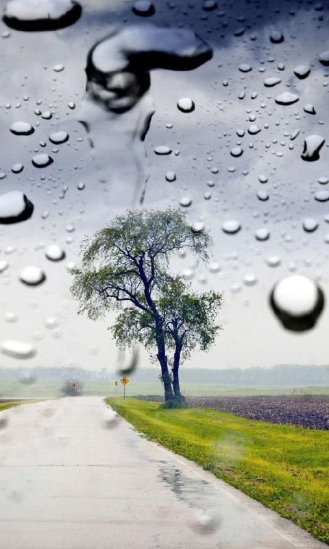 雨壁纸安卓下载 安卓版apk 免费下载 雨壁纸安卓下载 安卓版apk 免费下载