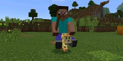 Driveable Mobs Addon for MCPE Cartaz