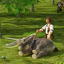 Sniper Hunt: Safari Survival APK