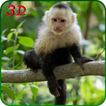 ”Monkey Simulator 3D