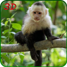 Monkey Simulator 3D icône