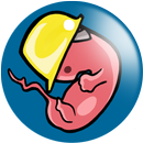 Saving Fetin APK