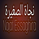 أغاني نجاة صغيرة icono