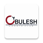 Obulesh Karate Club أيقونة