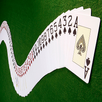 Solitaire HD Pro APK