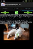 Cats Medicine Natural screenshot 1