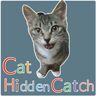 Cat Hidden Catch icon