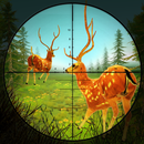 Safari sauvage Sniper Chasseur APK