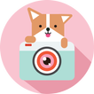 Cozy Camera-Photo&Video Editor