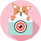 Cozy Camera-Photo&Video Editor ikona