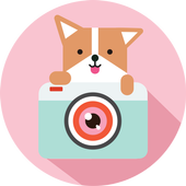 Cozy Camera-Photo&Video Editor ikon