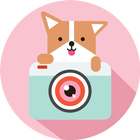 Cozy Camera-Photo&Video Editor simgesi