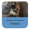 Димон мем кнопка