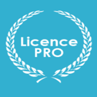 Licence Professionnelle icône