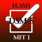 MFT Flash 1 icône