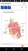 Miniatlas de las vías respiratorias altas скриншот 3