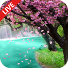 Sakura Live Wallpaper আইকন