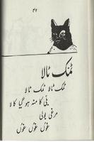 Urdu Poems jhoolnay for kids скриншот 3