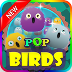 Pop Birds icon