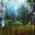 Secret forest