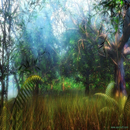 Secret forest aplikacja