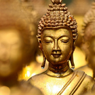 Buddhism Wallpapers icône