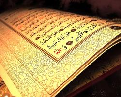 Scriptures Wallpapers স্ক্রিনশট 3