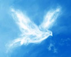 Spirit Wallpapers ภาพหน้าจอ 3