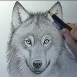 How to draw wolves 图标