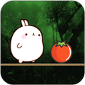 Jungle Jump - Jungle Adventure