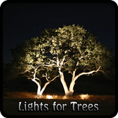 Lights for Trees. icon