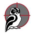 Night Owl icono