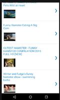 Funny Hamster Videos स्क्रीनशॉट 1