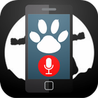 آیکون‌ Call Recorder Boldbeast Tips