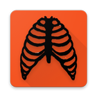 Anatomy Review - Thorax icono