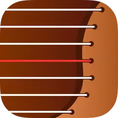 Chinese Guzheng Play